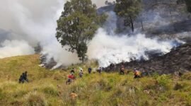 Ilustrasi kebakaran hutan dan lahan. (Dok. BNPB)