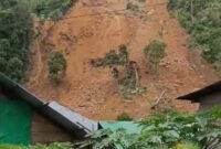 Tanah longsor ini melanda di kawasan tambang mineral di Desa Tulabolo, Kecamatan Suwawa Timur. (Dok. BPBD Kabupaten Bone Bolango)