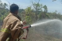 Personil BPBD Kabupaten Aceh Besar memadamkan kebakaran lahan di Kecamatan Lembah Seulawah. (BPBD Kabupaten Aceh Besar)