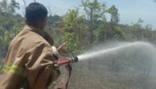 Personil BPBD Kabupaten Aceh Besar memadamkan kebakaran lahan di Kecamatan Lembah Seulawah. (BPBD Kabupaten Aceh Besar)